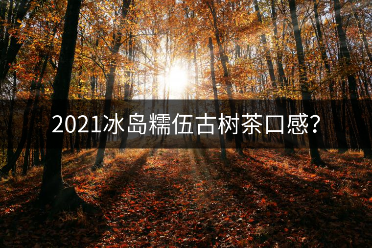 2021冰島糯伍古樹茶口感？