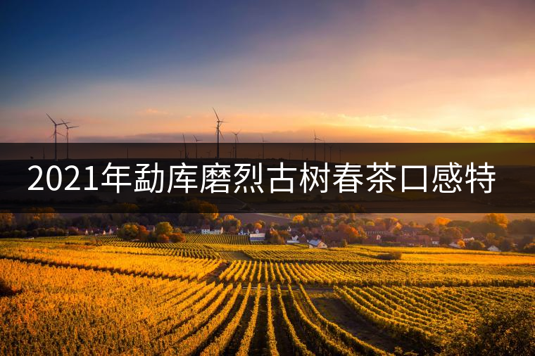 2021年勐庫磨烈古樹春茶口感特點是什么? 2021年勐庫磨烈古樹春茶口感特點是什么?