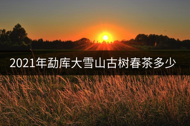 2021年勐庫大雪山古樹春茶多少錢一公斤？