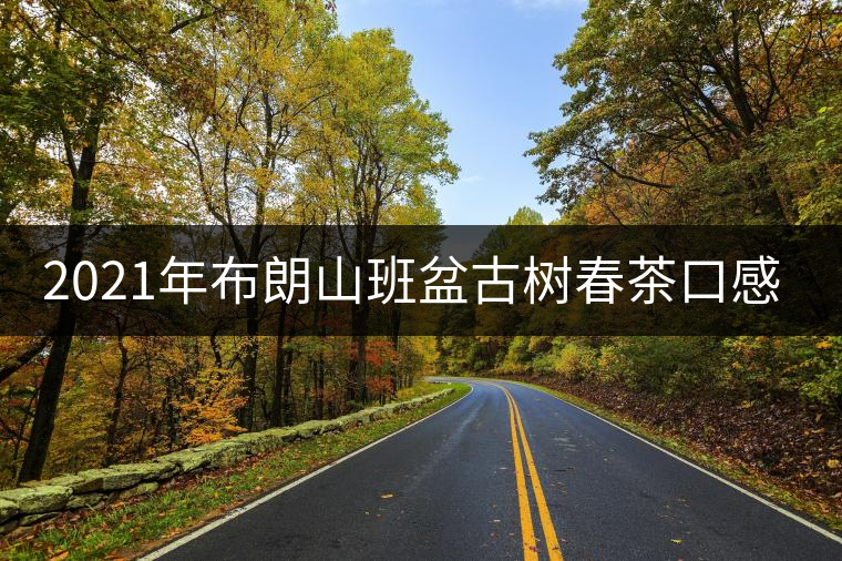 2021年布朗山班盆古樹春茶口感特點(diǎn)？