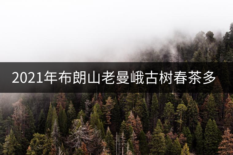 2021年布朗山老曼峨古樹春茶多少錢一公斤? 2021年布朗山老曼峨古樹春茶多少錢一公斤?