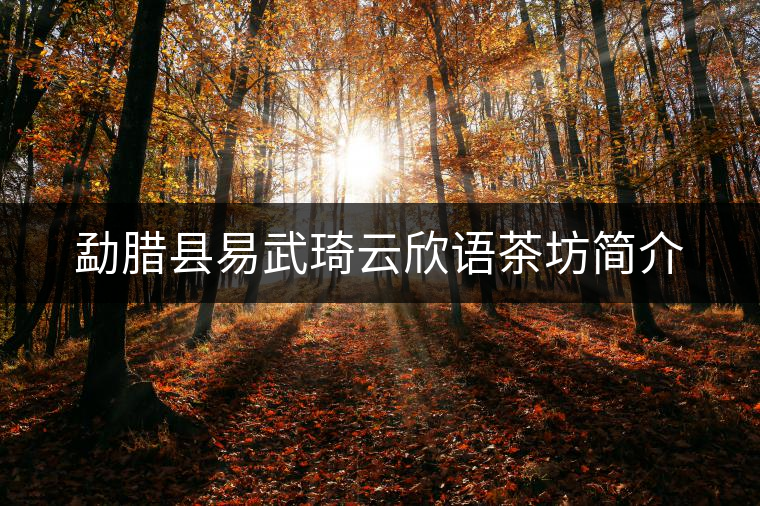 勐臘縣易武琦云欣語茶坊簡(jiǎn)介 勐臘縣易武琦云欣語茶坊簡(jiǎn)介