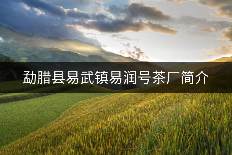 勐臘縣易武鎮(zhèn)易潤號(hào)茶廠簡介 勐臘縣易武鎮(zhèn)易潤號(hào)茶廠簡介