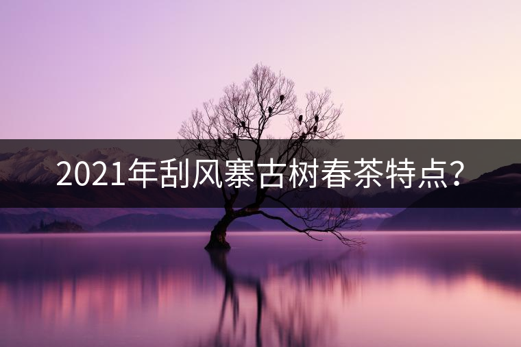 2021年刮風(fēng)寨古樹春茶特點？