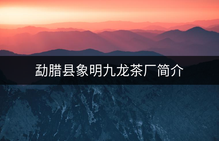 勐臘縣象明九龍茶廠簡介