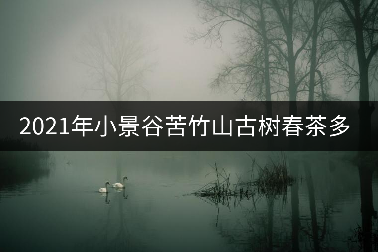 2021年小景谷苦竹山古樹(shù)春茶多少錢(qián)一公斤？