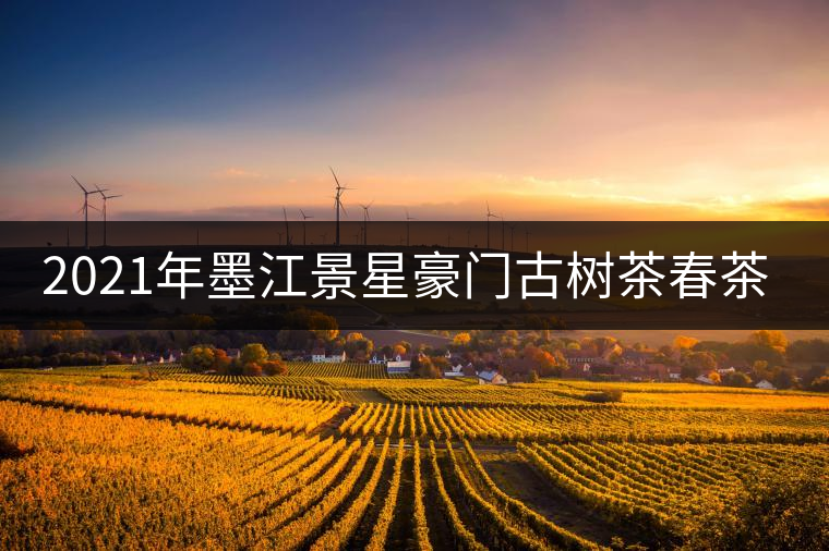 2021年墨江景星豪門古樹茶春茶價(jià)格多少錢一斤？