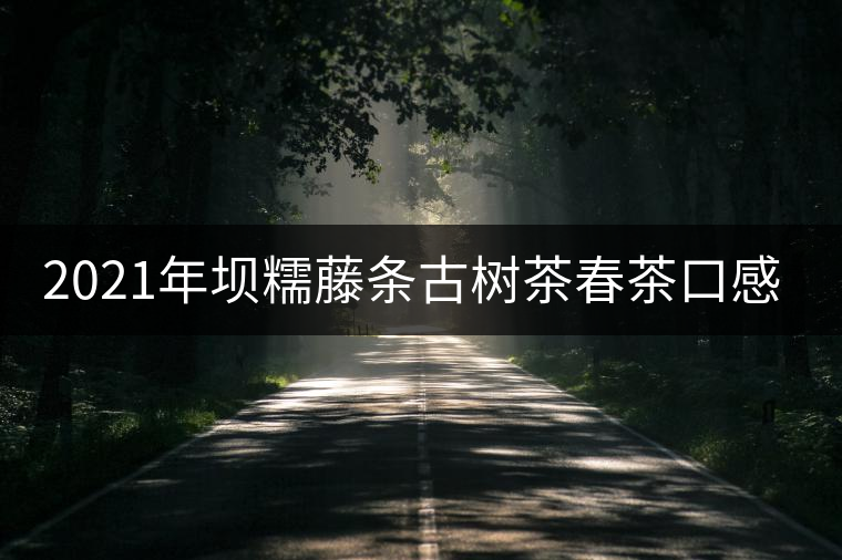 2021年壩糯藤條古樹茶春茶口感特點 2021年壩糯藤條古樹茶春茶口感特點