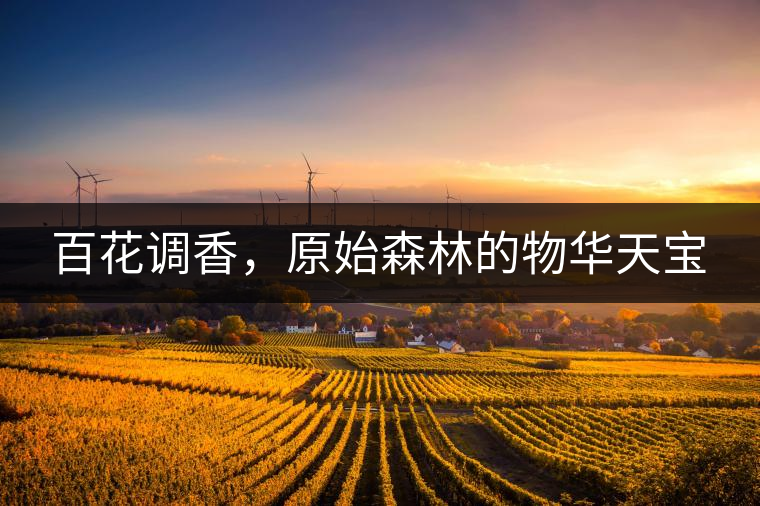 百花調(diào)香，原始森林的物華天寶