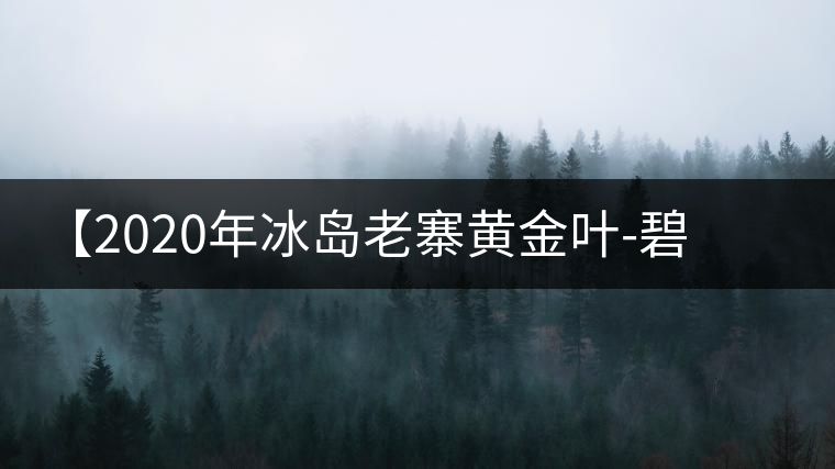 【2020年冰島老寨黃金葉-碧波蕩漾一抹香，輕啜半盞甘若露。