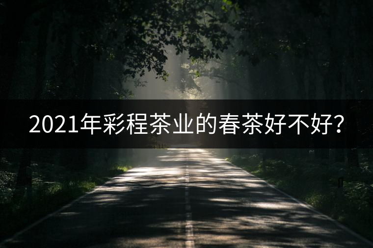 2021年彩程茶業(yè)的春茶好不好？