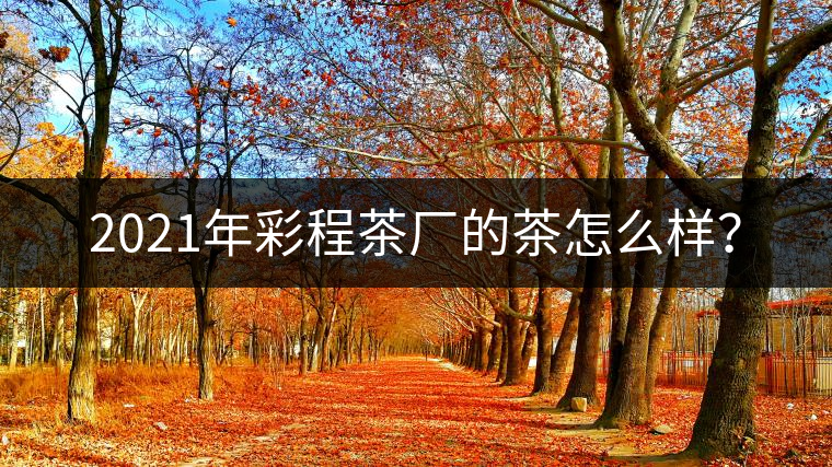 2021年彩程茶廠的茶怎么樣？