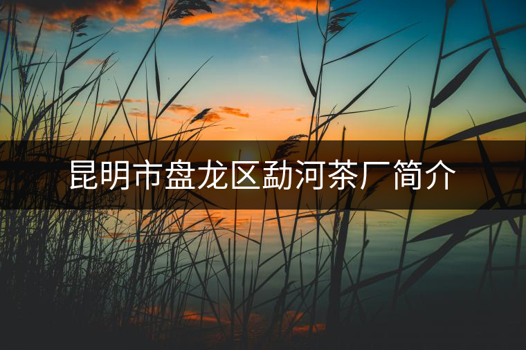 昆明市盤(pán)龍區(qū)勐河茶廠(chǎng)簡(jiǎn)介 昆明市盤(pán)龍區(qū)勐河茶廠(chǎng)簡(jiǎn)介