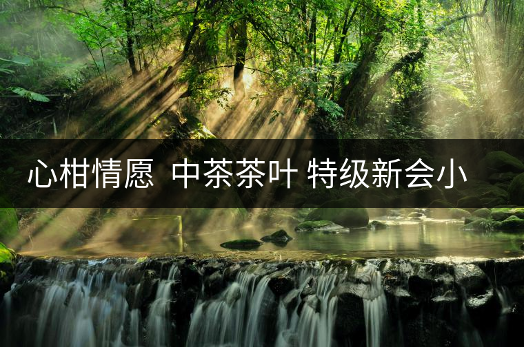 心柑情愿 中茶茶葉 特級新會小青柑普洱茶好喝嗎? 心柑情愿 中茶茶葉 特級新會小青柑普洱茶好喝嗎?