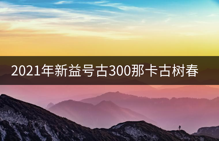 2021年新益號(hào)古300那卡古樹春茶口感怎么樣？