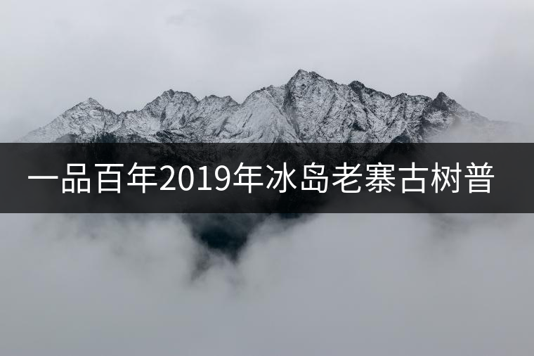 一品百年2019年冰島老寨古樹普洱茶生茶好喝嗎？