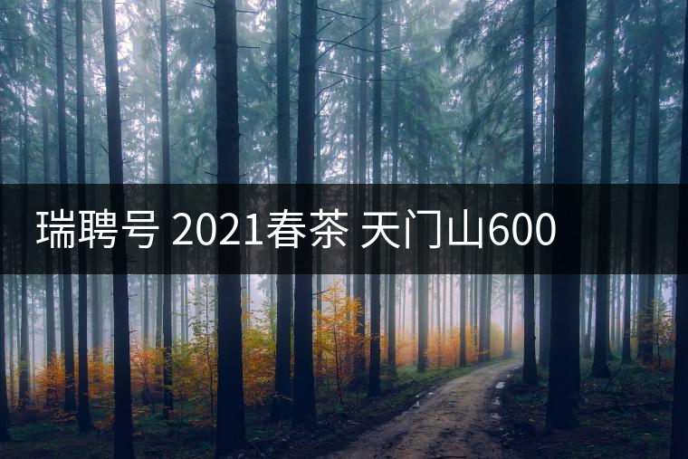 瑞聘號(hào) 2021春茶 天門山600 頭春古樹口感怎么樣？