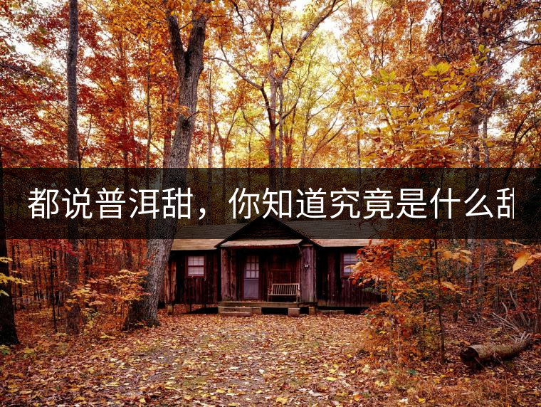 都說普洱甜，你知道究竟是什么甜嗎？