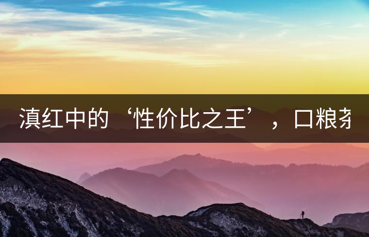 滇紅中的‘性價比之王’，口糧茶首選！