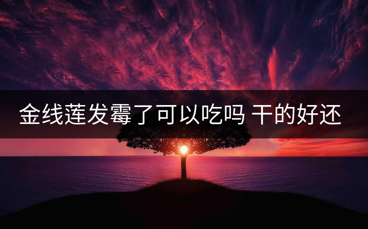 金線蓮發(fā)霉了可以吃嗎 干的好還是濕的好 金線蓮發(fā)霉了可以吃嗎 干的好還是濕的好