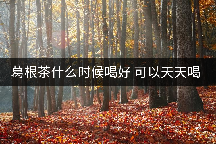 葛根茶什么時候喝好 可以天天喝嗎 葛根茶什么時候喝好 可以天天喝嗎