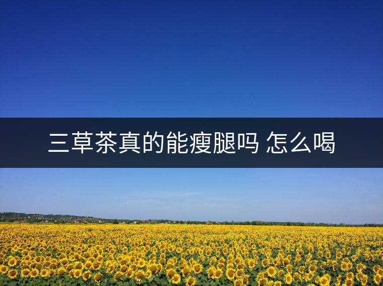 三草茶真的能瘦腿嗎 怎么喝 三草茶真的能瘦腿嗎 怎么喝