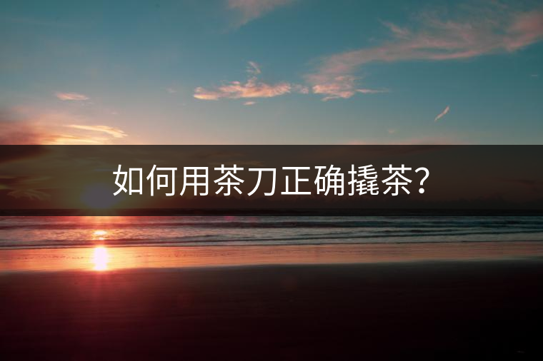 如何用茶刀正確撬茶？