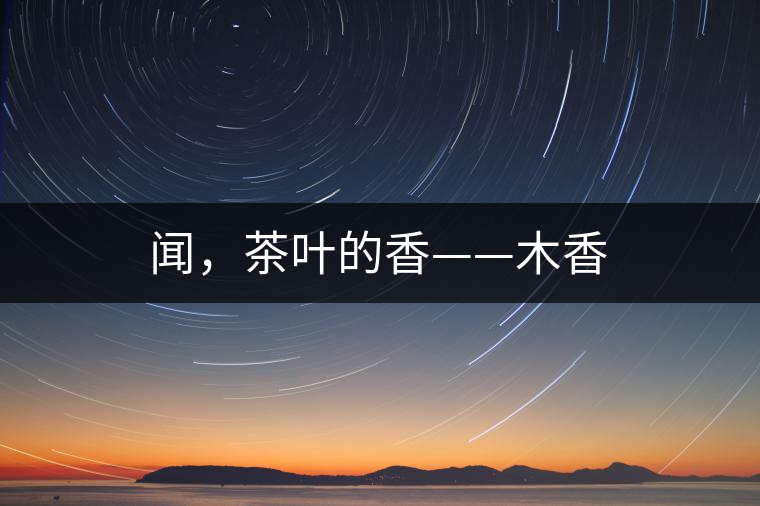 聞，茶葉的香——木香