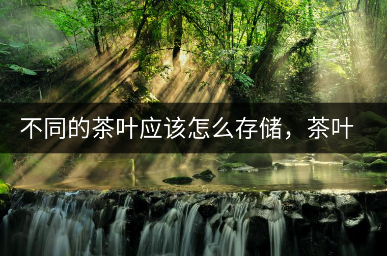 不同的茶葉應(yīng)該怎么存儲，茶葉罐又該如何選擇？