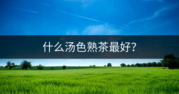 什么湯色熟茶最好？