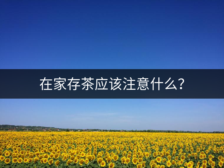 在家存茶應該注意什么？