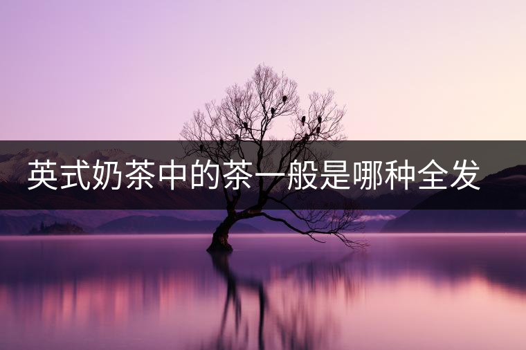 英式奶茶中的茶一般是哪種全發(fā)酵茶類(lèi)