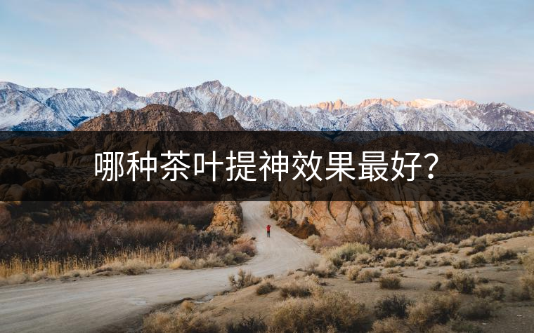 哪種茶葉提神效果最好？
