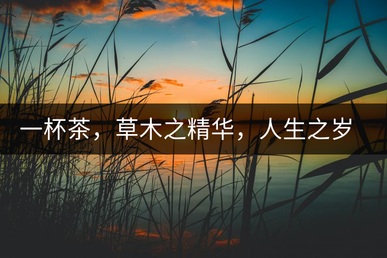 一杯茶，草木之精華，人生之歲月