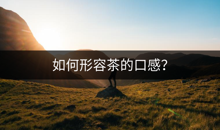 如何形容茶的口感？