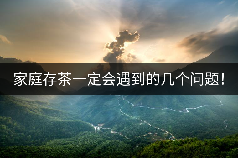 家庭存茶一定會遇到的幾個問題！