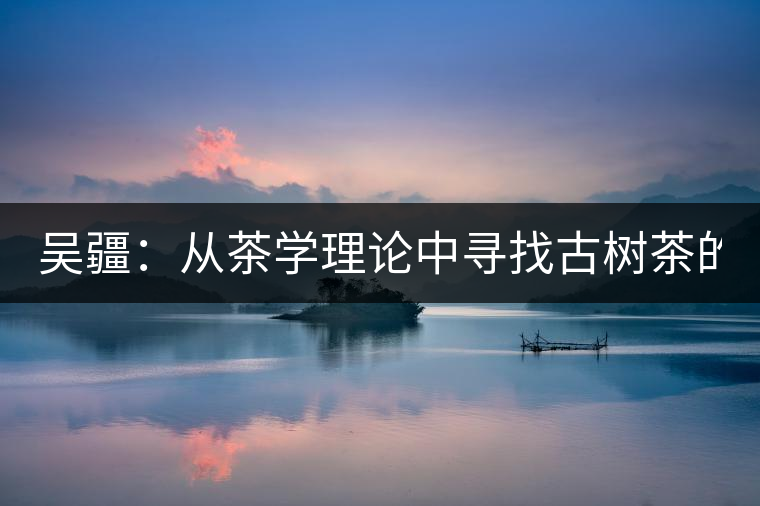 吳疆：從茶學(xué)理論中尋找古樹茶的鑒別方法？（讀書筆記3）