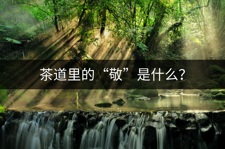 茶道里的“敬”是什么？