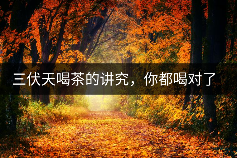 三伏天喝茶的講究，你都喝對(duì)了嗎？