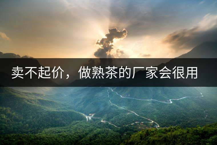 賣(mài)不起價(jià)，做熟茶的廠家會(huì)很用心生產(chǎn)熟茶嗎？