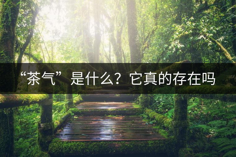 “茶氣”是什么？它真的存在嗎？