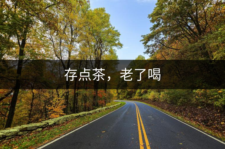 存點(diǎn)茶，老了喝