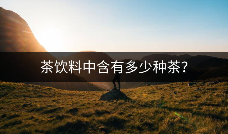 茶飲料中含有多少種茶？