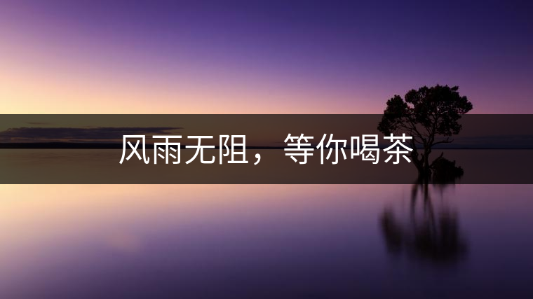 風(fēng)雨無(wú)阻，等你喝茶