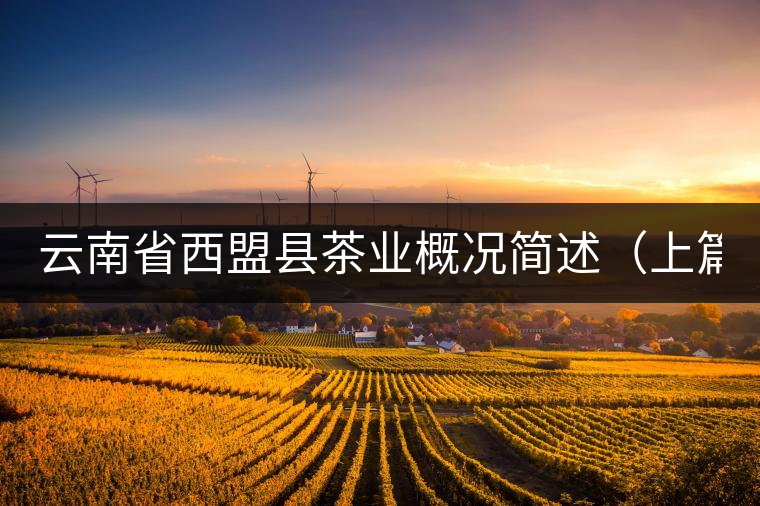 云南省西盟縣茶業(yè)概況簡述（上篇）