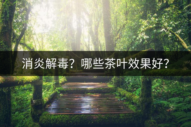 消炎解毒？哪些茶葉效果好？
