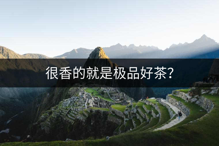 很香的就是極品好茶？