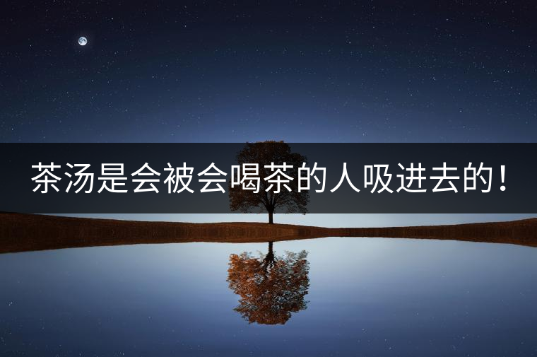 茶湯是會(huì)被會(huì)喝茶的人吸進(jìn)去的！