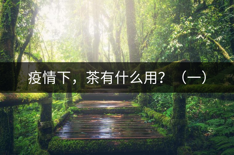 疫情下，茶有什么用？（一）
