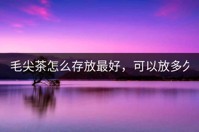 毛尖茶怎么存放最好，可以放多久？